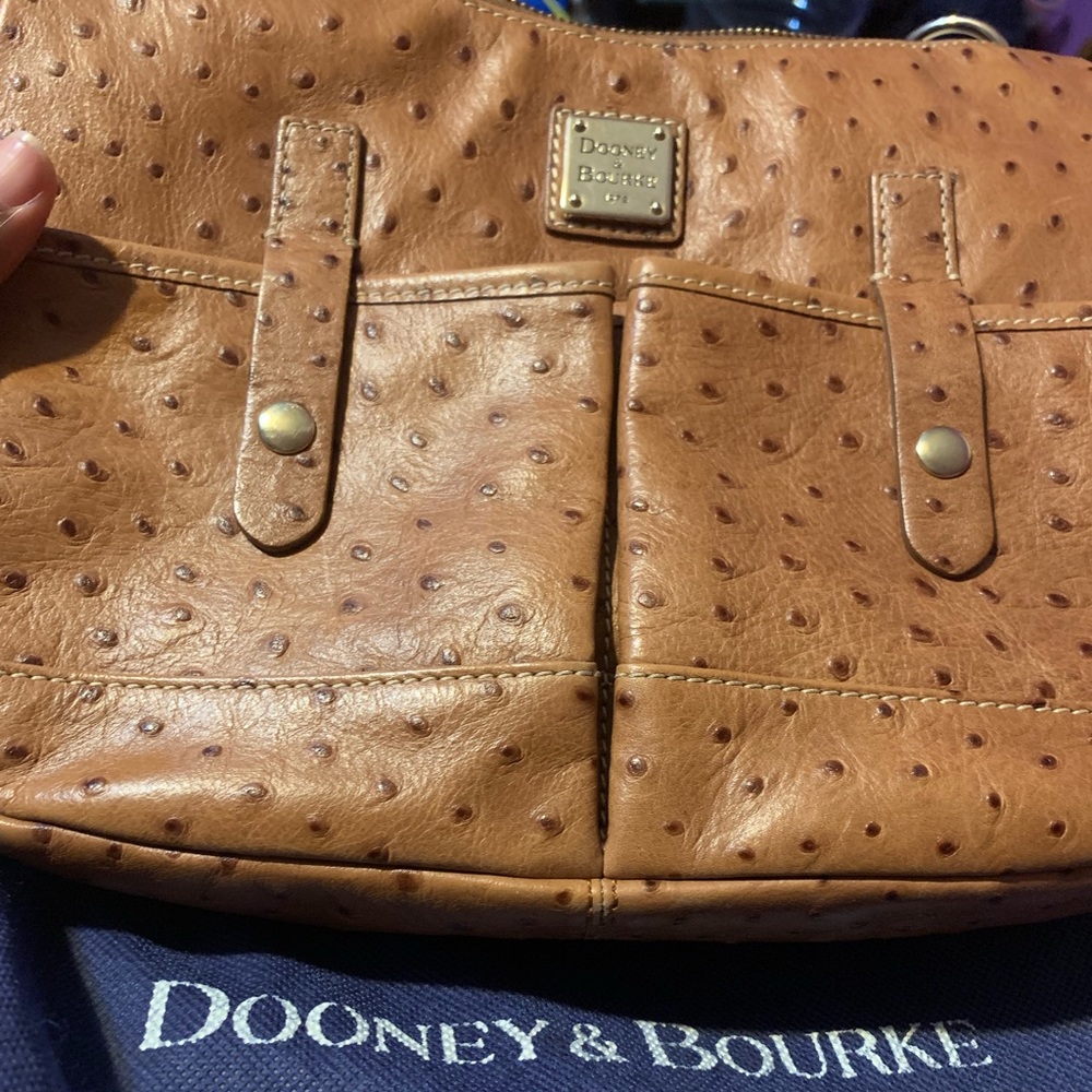 Ostrich safari Dooney an bourke